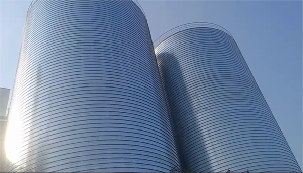 尚义2座混凝土高架卷板仓